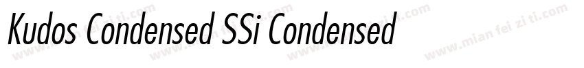 Kudos Condensed SSi Condensed Ital字体转换